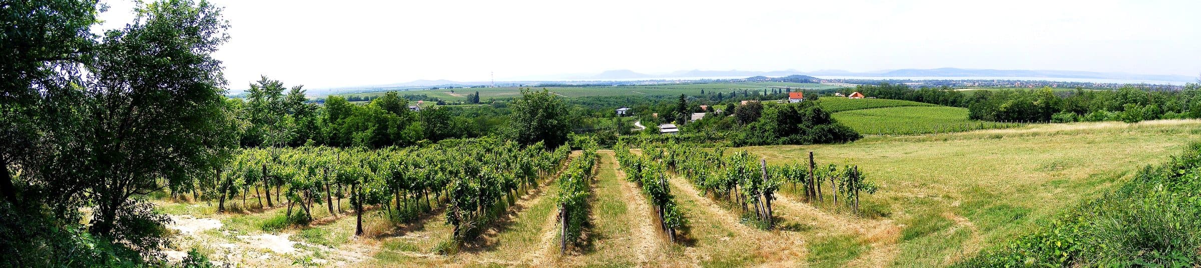 Pearl Of The Danube 9-Day Balkan Peninsula Adventure T...