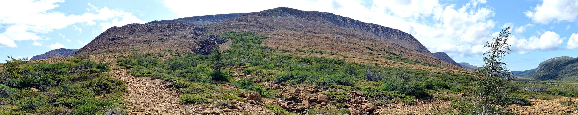 Departing From Deer Lake : Explore And Discover The Best Of Newfoundland